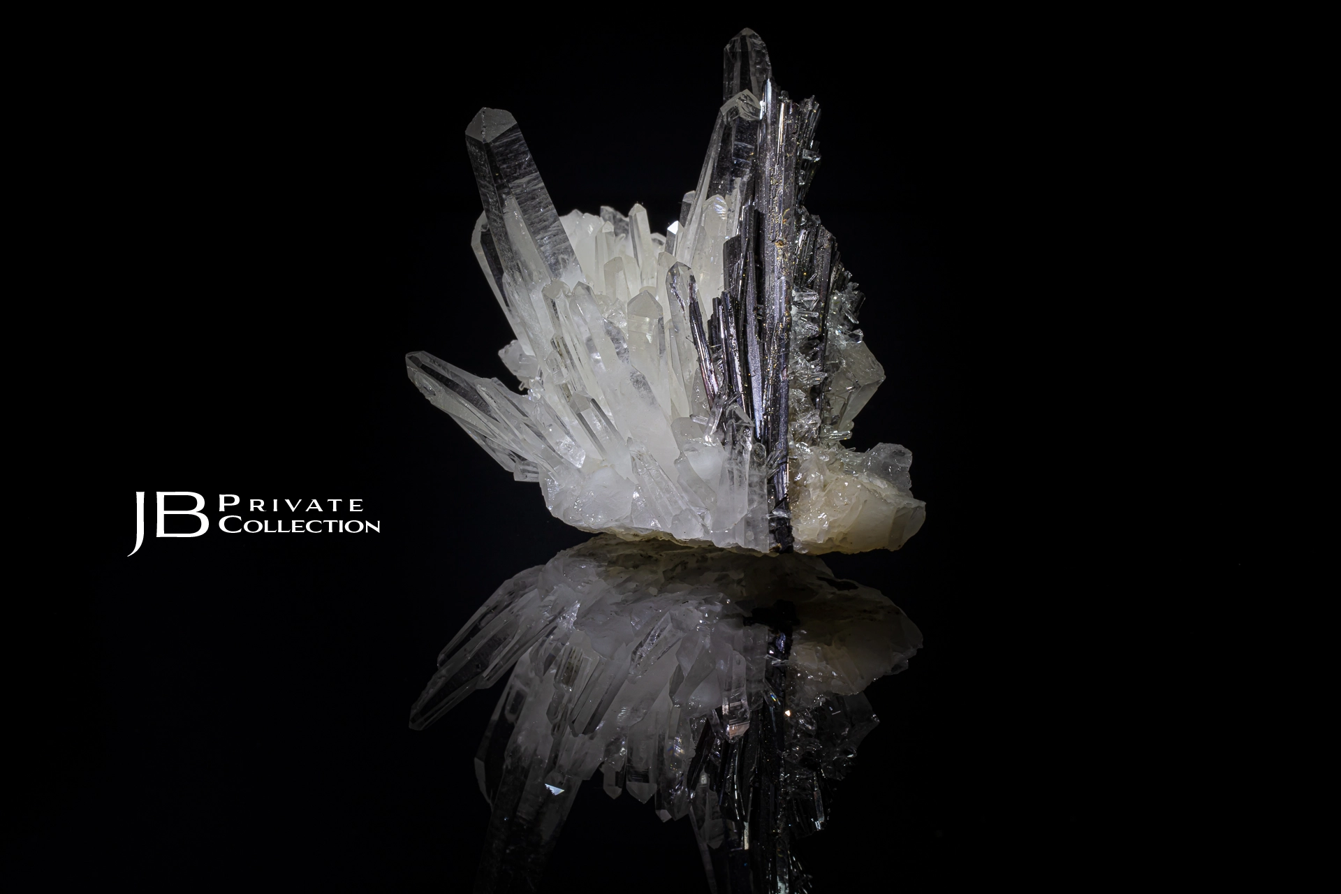 Hubnerite on Quartz by Camarda Visual Studio - Minerals Photography