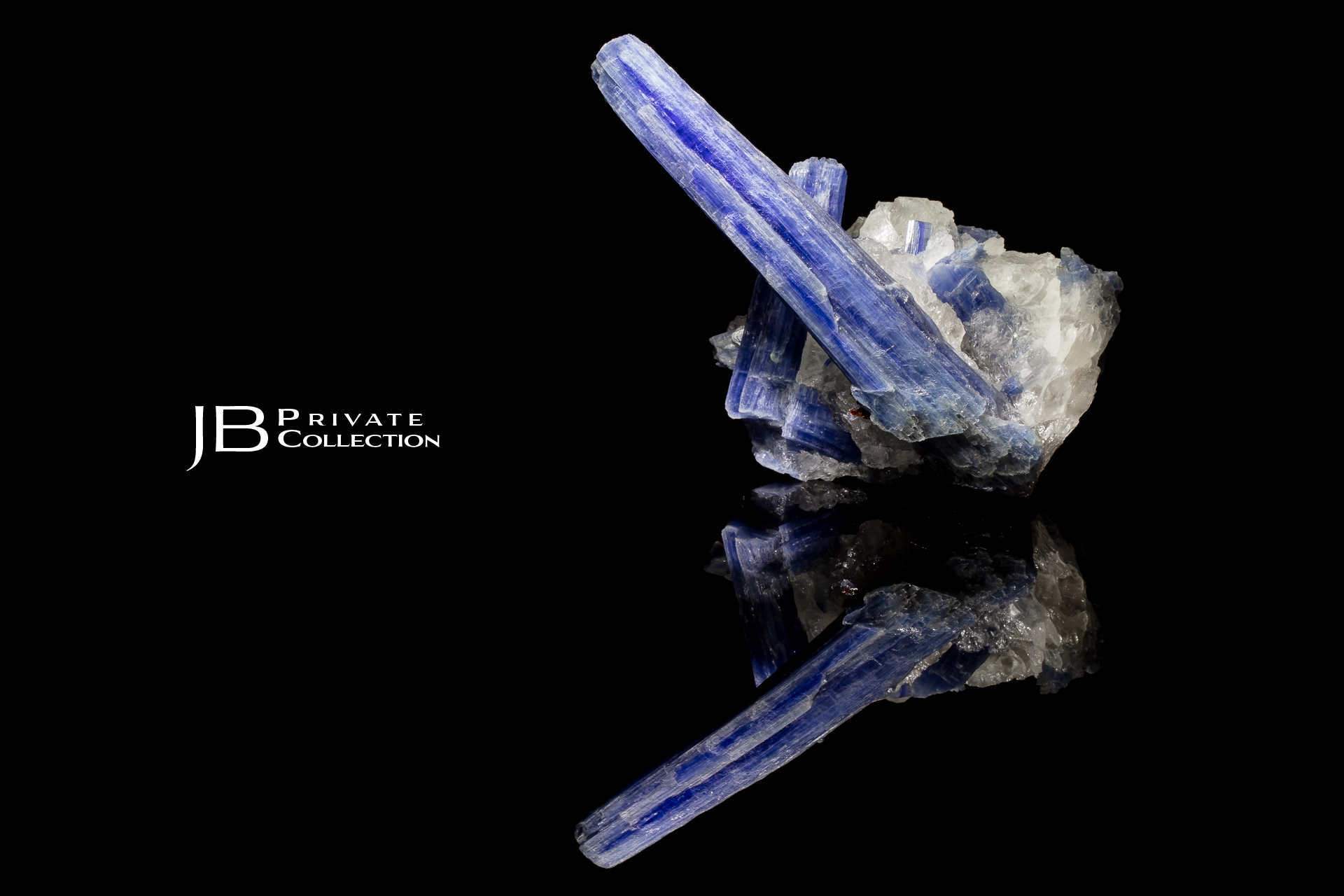 Kyanite by Camarda Visual Studio - Minerals Photography