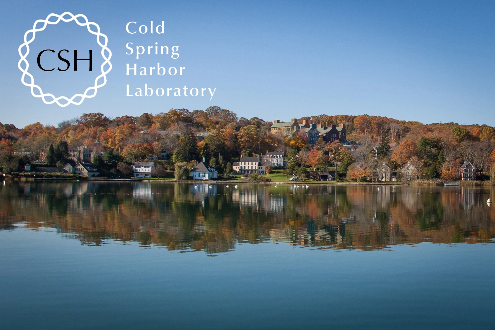 Cold Spring Harbor Laboratory by Camarda Visual Studio