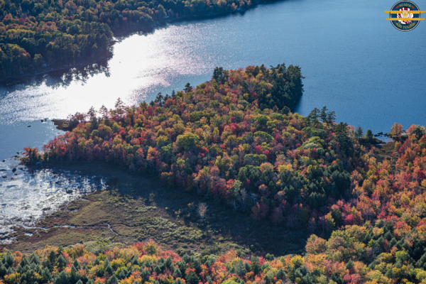 Fall Peninsula in Acadia – Aerial View Aerial view of a colorful forest peninsula surrounded by calm blue waters, taken in autumn in Acadia National Park.