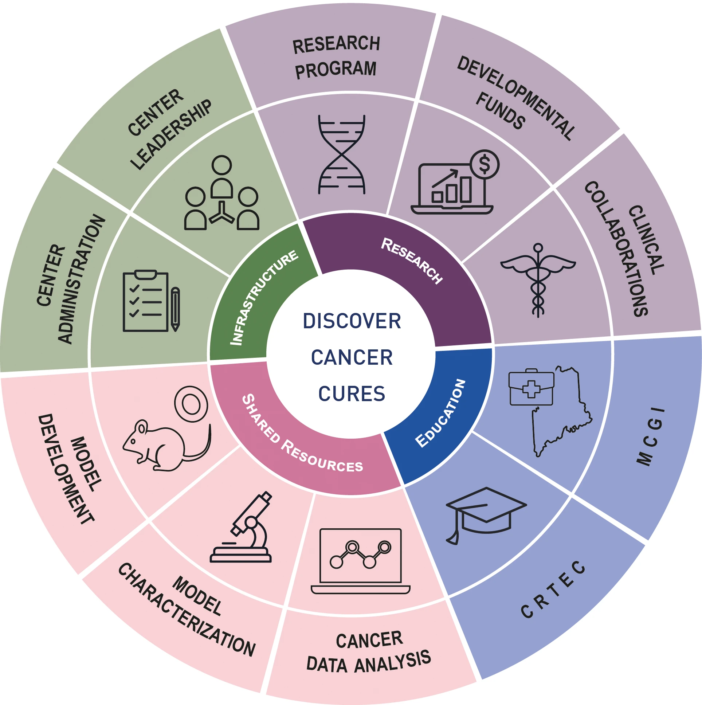 Circular diagram showing the organizational structure and key functions of the Jackson Laboratory Cancer Center, highlighting infrastructure, research, education, and shared resources.
