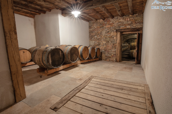 Wine aging cellar – Traditional oak barrel storage Wooden wine barrels in a rustic aging room with stone walls and vaulted cellar entrance at Deux Roches winery.