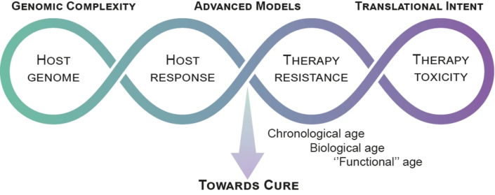 Infographic showing an interconnected model linking genomic complexity, host response, therapy resistance and toxicity—framed within translational cancer research aiming towards a cure.