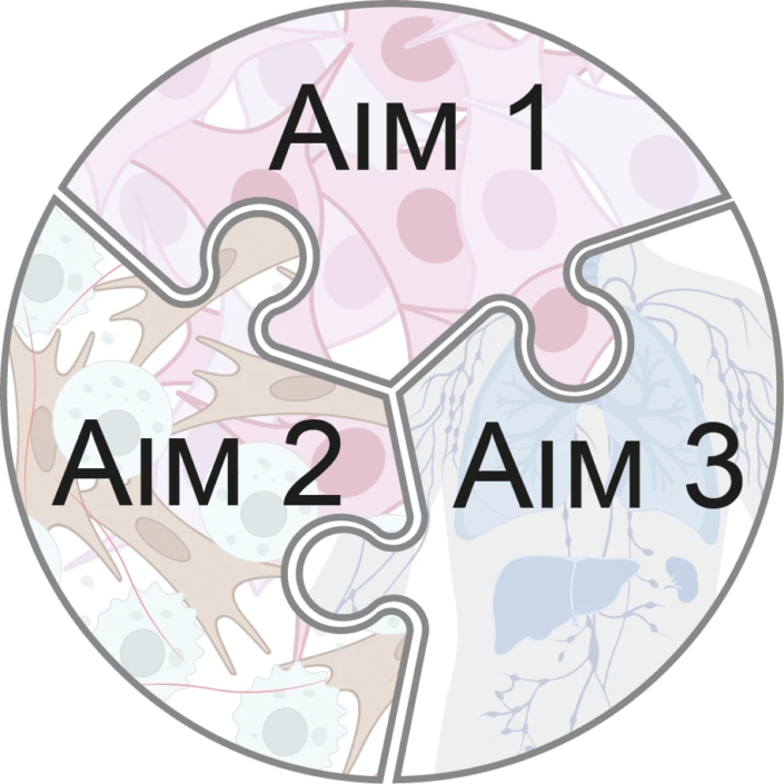 Scientific diagram representing three interconnected research aims using a puzzle motif divided into cancer, immune/stromal, and systemic environment components.