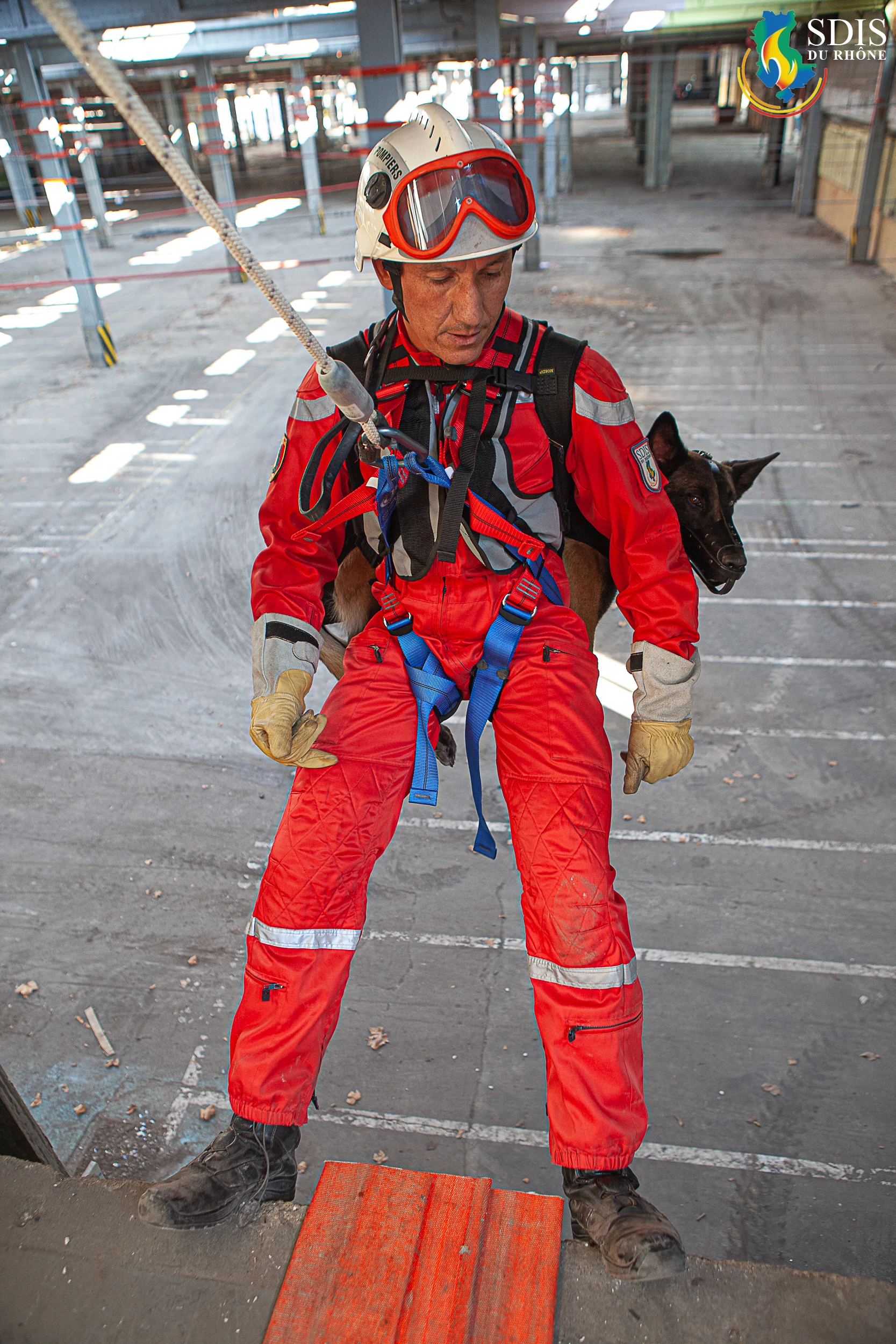 Firefighter in red suit rappelling with rescue dog on his back inside an abandoned building – SDIS69 training operation.