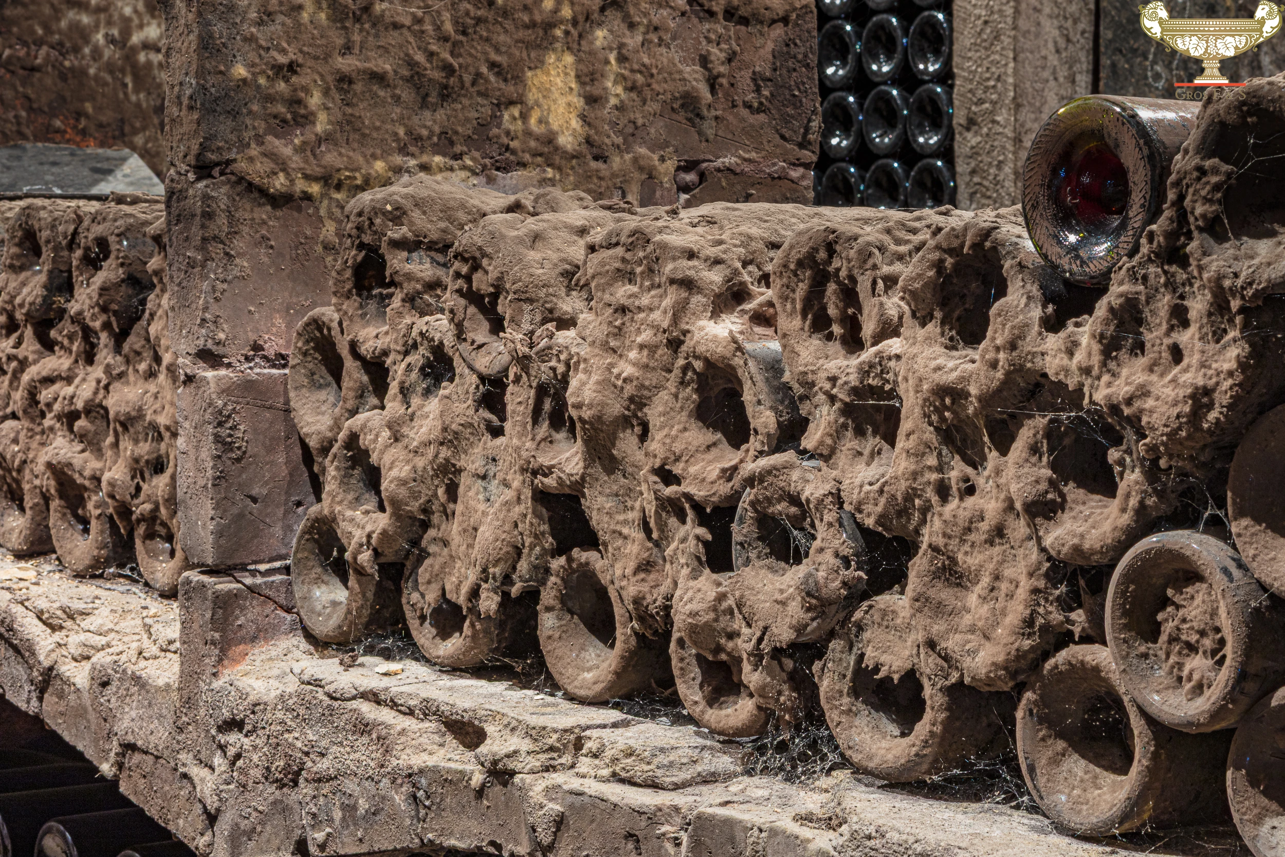 Old wine bottles covered in cobwebs in the underground cellar of Domaine Gros Frère et Sœur.