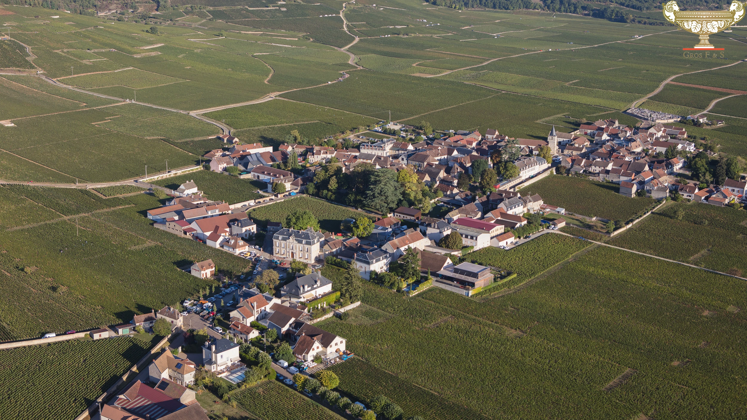 Aerial view of Vosne-Romanée village surrounded by vineyards in Côte de Nuits, Burgundy.