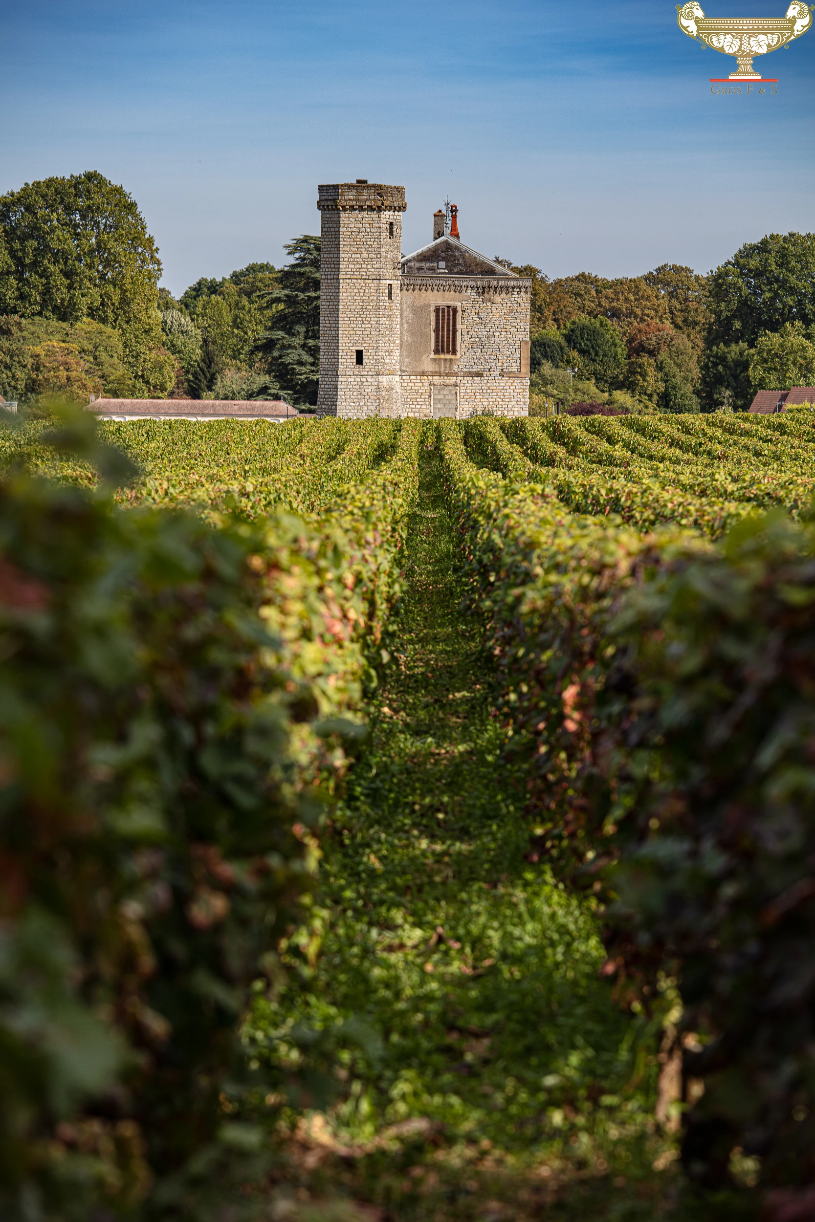 Stone tower surrounded by vineyard rows in Burgundy, France