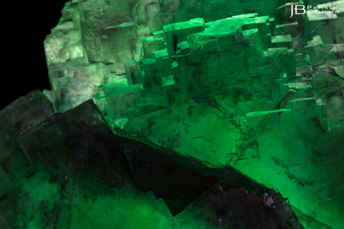 Close-up of deep green and dark-zoned fluorite cubes from Okorusu Mine, Namibia – studio-lit macro view.