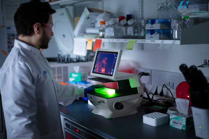 Scientist observing cells under green light from an imaging system at The Jackson Laboratory