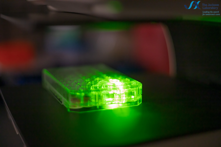 Microplate glowing green under an imaging system's illumination in a research lab