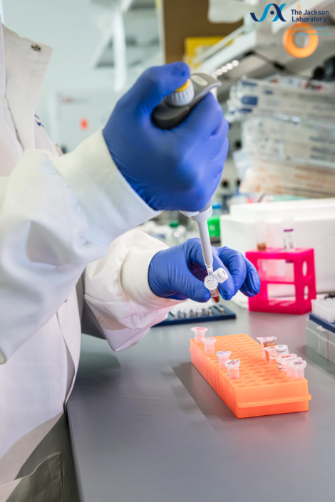 Gloved hands pipetting into a microtube above an orange sample rack