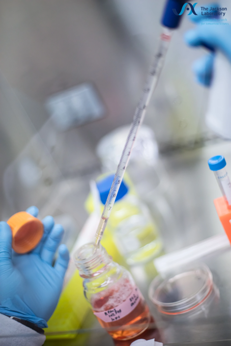 Serological pipette drawing pink culture medium from a bottle at a lab bench