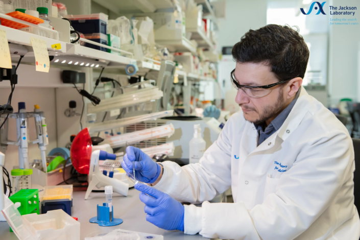 Scientist examining a sample at a lab bench, The Jackson Laboratory