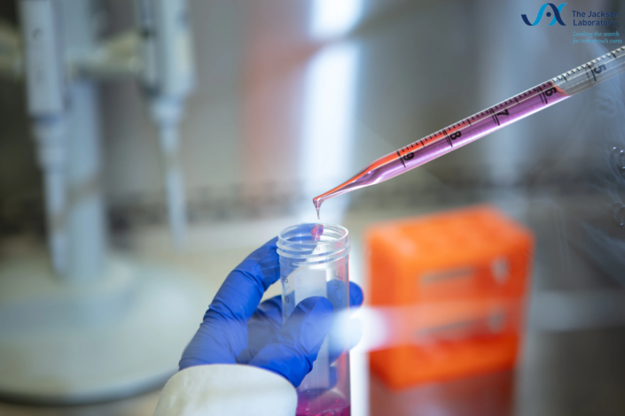 Close-up of a pipette releasing a drop of pink medium into a culture vial