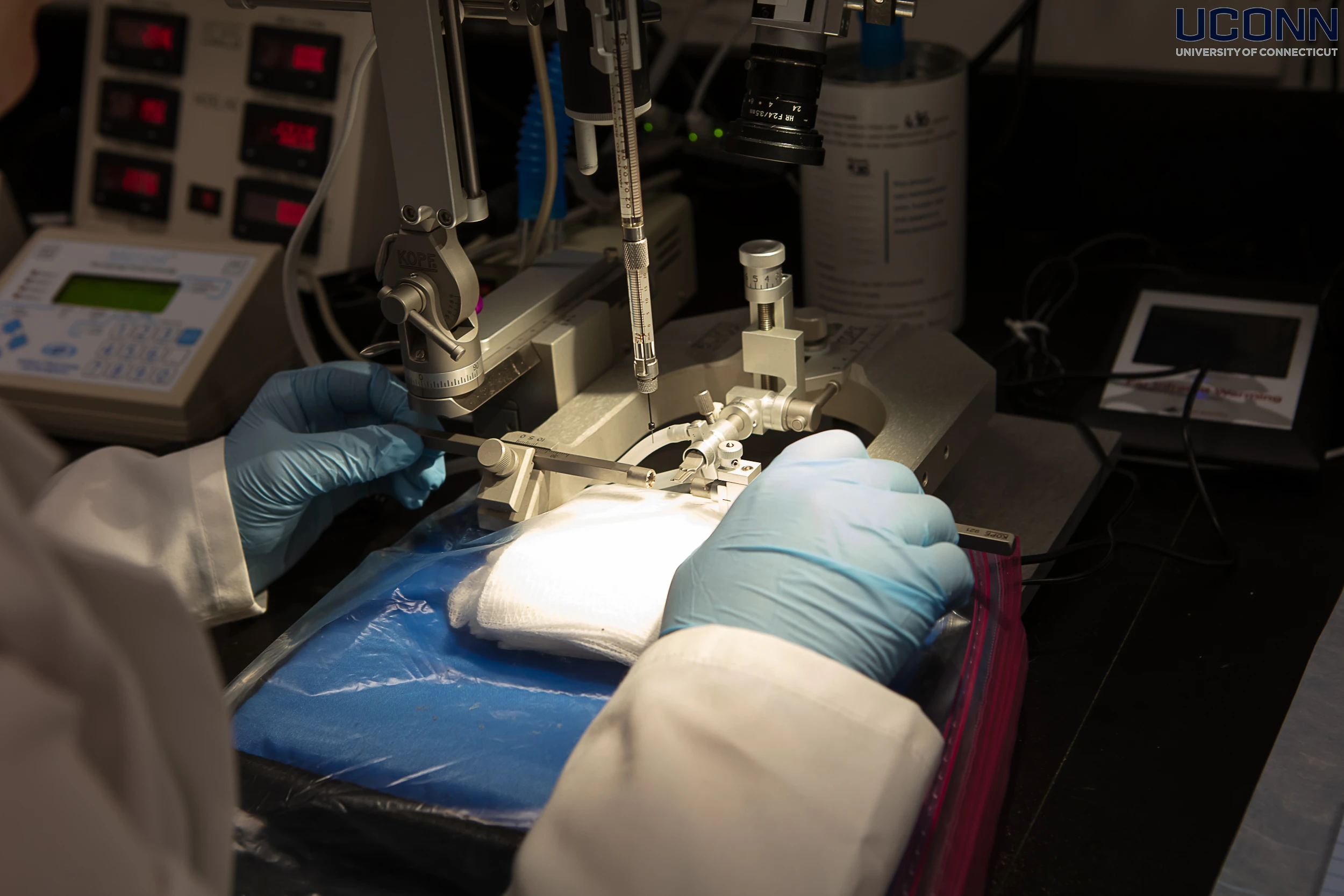 Close-up of a neuroscience student performing stereotaxic surgery in a UConn research lab.