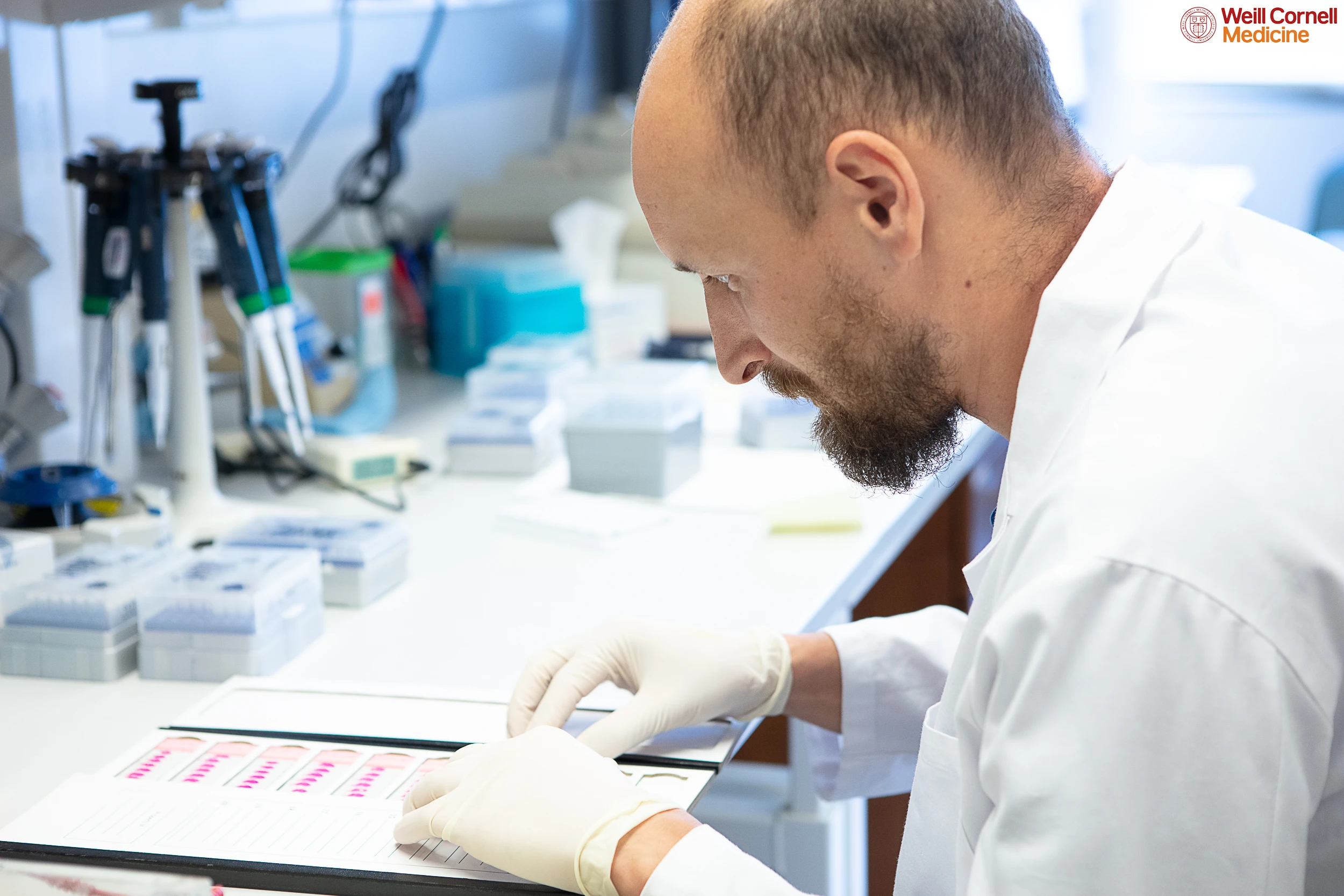 Researcher examining histological slides at Weill Cornell Medicine in New York, focused on tissue analysis.