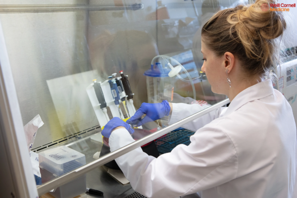 Biosafety Cabinet Work at Weill Cornell Medicine Researcher working in a biosafety cabinet at Weill Cornell Medicine.