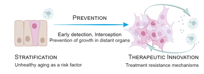 Scientific diagram illustrating cancer progression from stratification to prevention and therapeutic innovation, emphasizing early detection and treatment resistance.