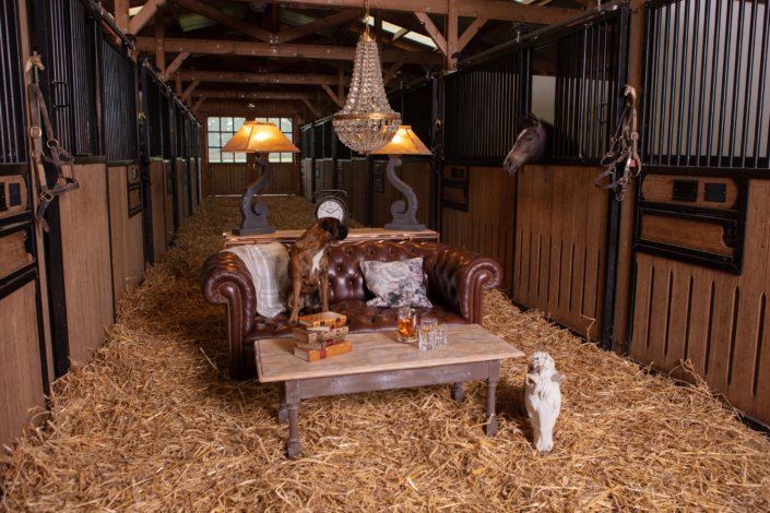 Equestrian interior staging with vintage leather sofa, lighting design, and custom accessories — creative visual identity for interior design by Atelier Gris Mousse.