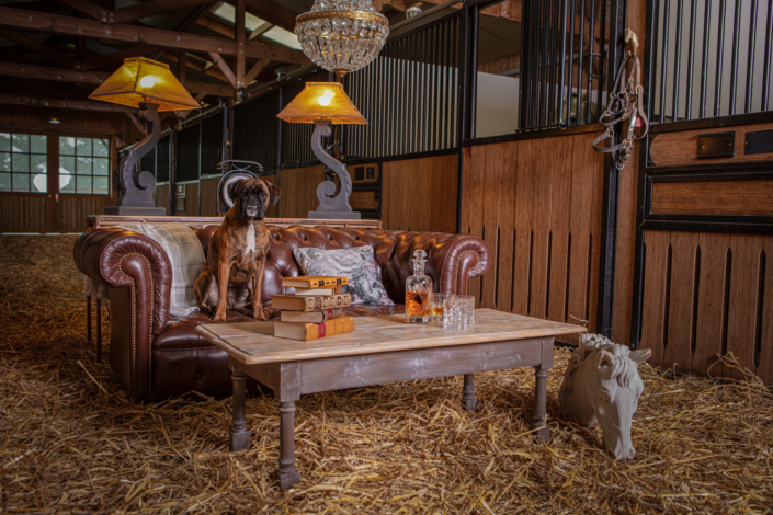 Equestrian-style lounge scene with boxer dog, leather sofa, vintage books, and crystal chandelier — creative visual identity for interior design by Atelier Gris Mousse.