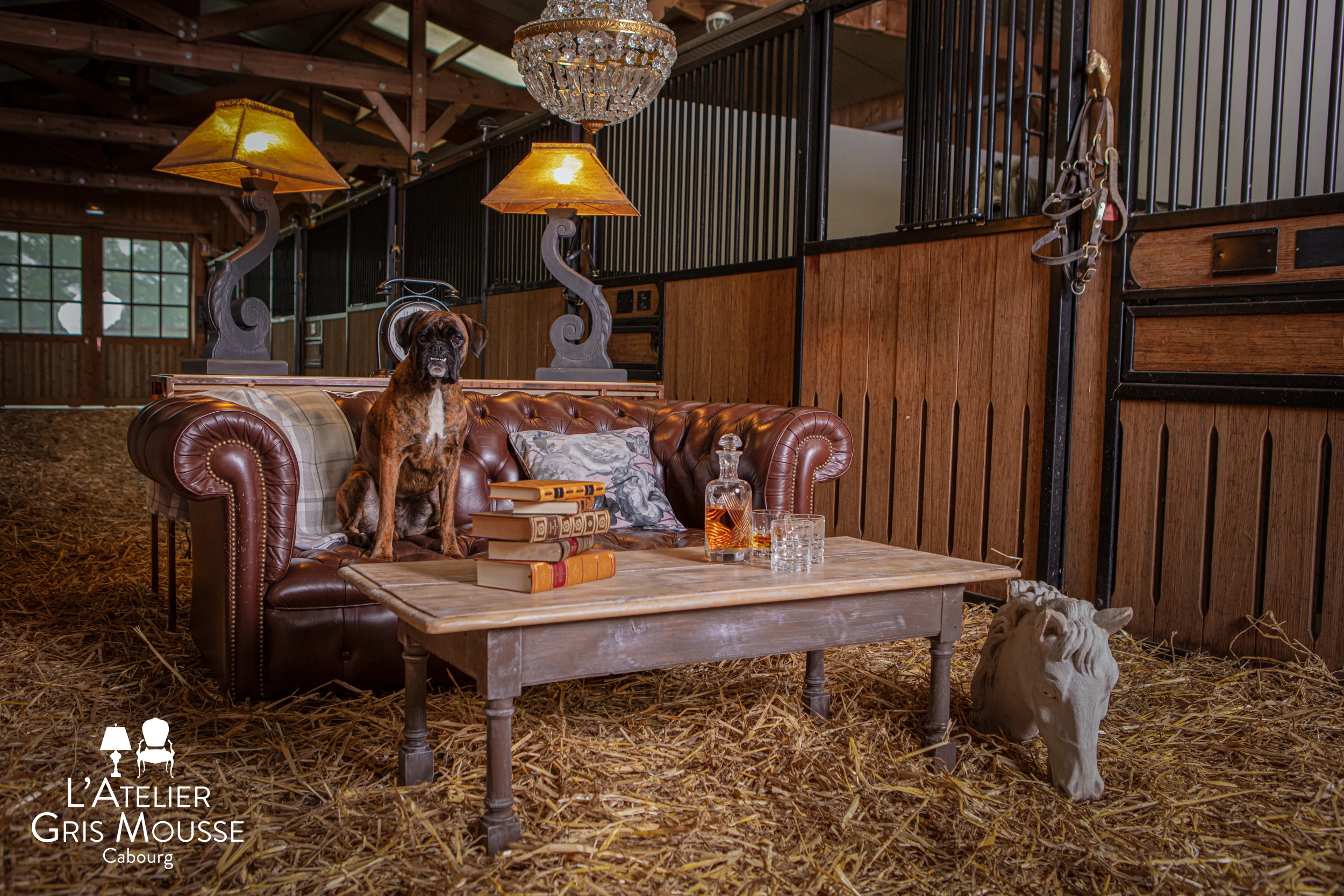 Equestrian-style lounge scene with boxer dog, leather sofa, vintage books, and crystal chandelier — creative visual identity for interior design by Atelier Gris Mousse.
