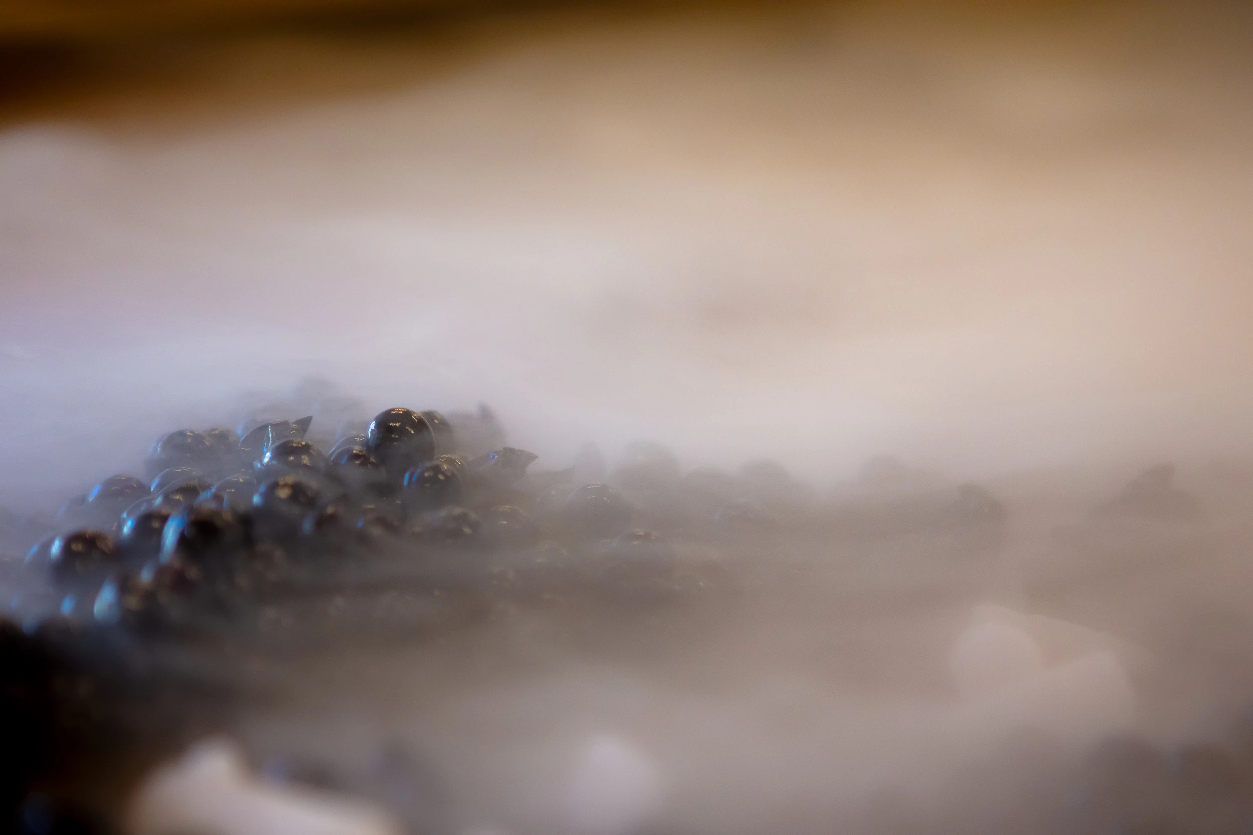 Close-up of Pinot Noir grapes covered in mist during the winemaking process at Domaine Gros Frère et Sœur.