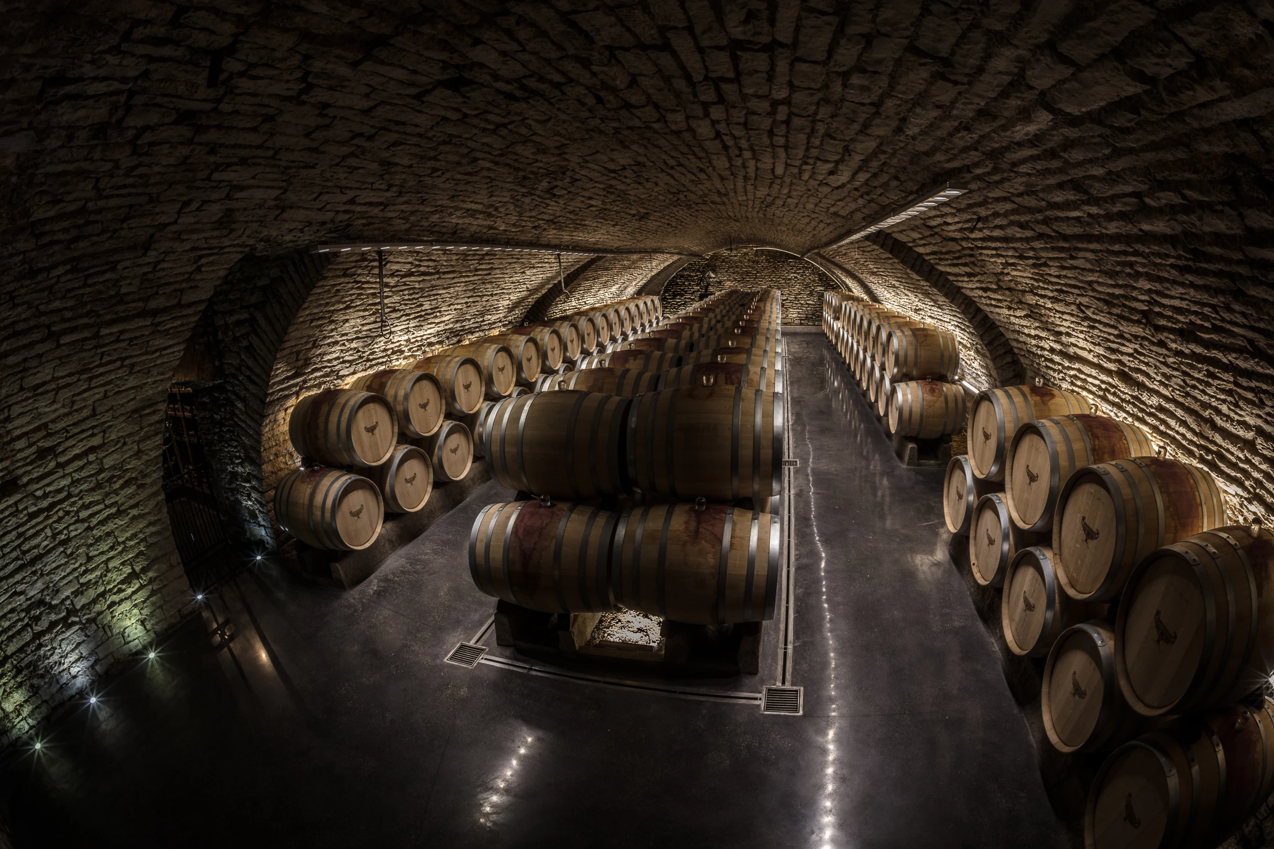 Wine cellar with stacked oak barrels under a vaulted stone ceiling at Domaine Gros Frère et Sœur, Burgundy.