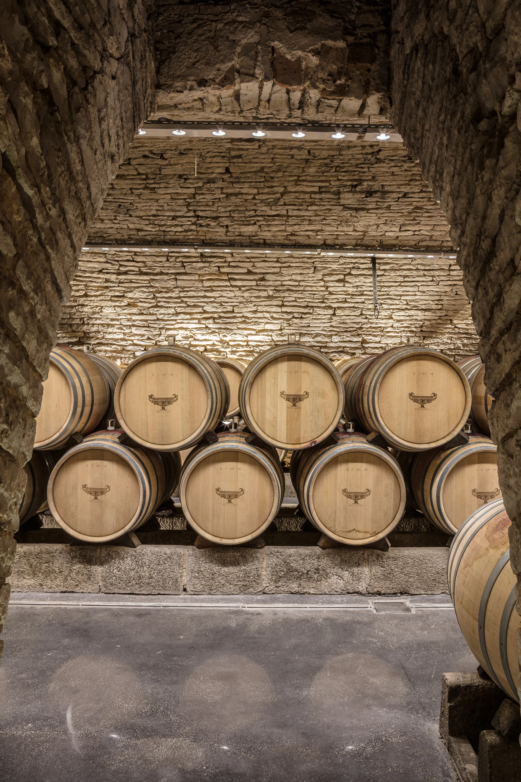 Oak wine barrels in a traditional Burgundy cellar at Domaine Gros Frère et Sœur.