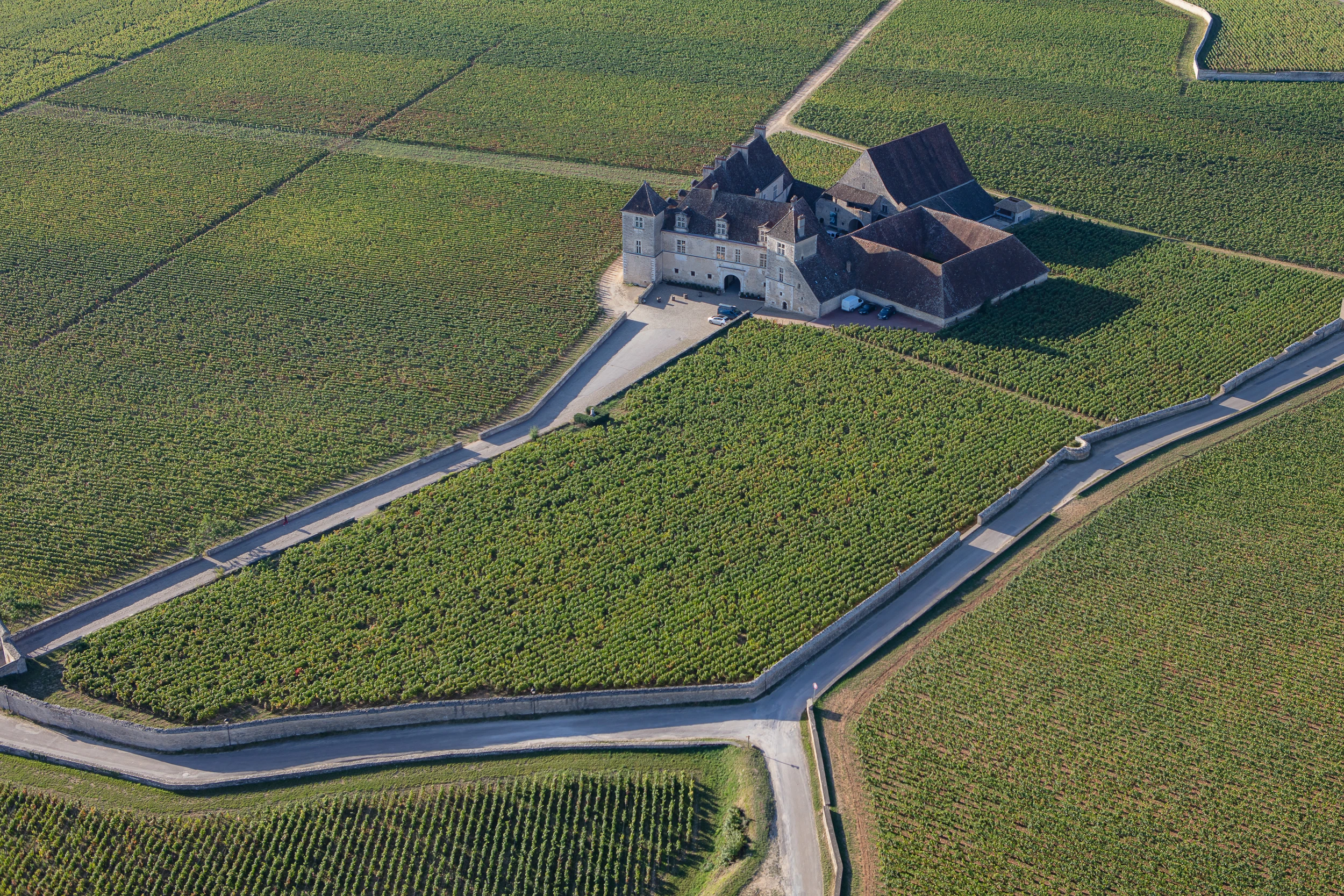 Aerial view of the Château du Clos de Vougeot surrounded by Burgundy vineyards during harvest season.