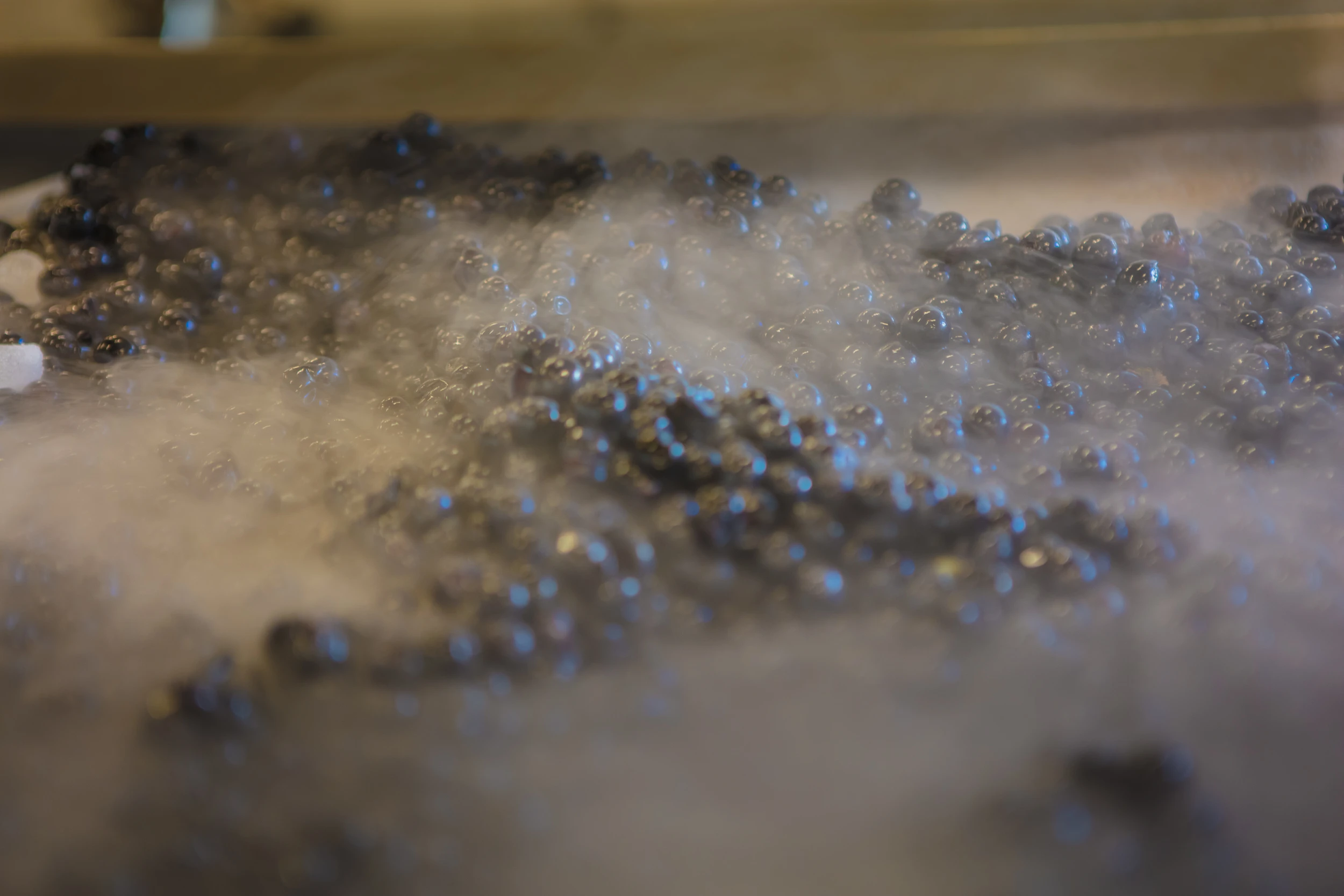 Burgundy grapes cooled with dry ice during harvest – Gros Frère et Sœur, 2016