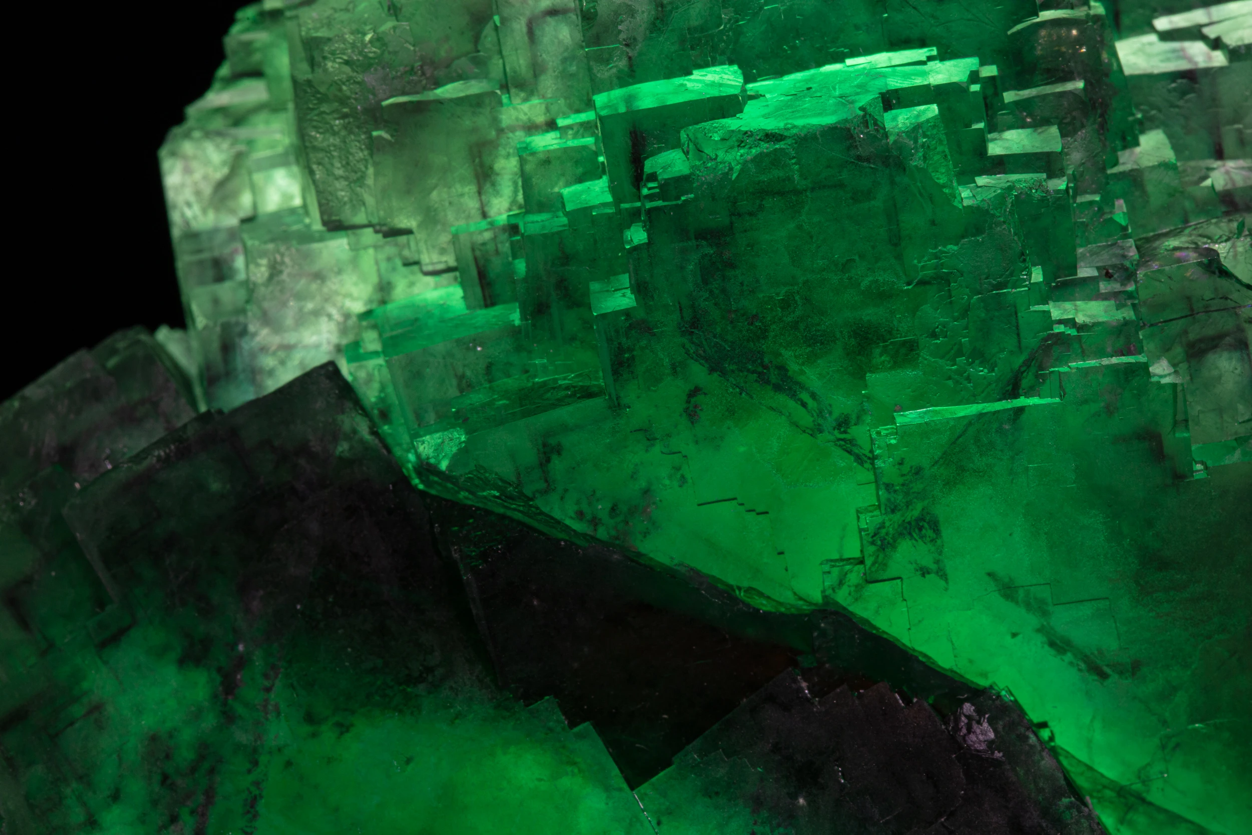 Close-up of deep green and dark-zoned fluorite cubes from Okorusu Mine, Namibia – studio-lit macro view.