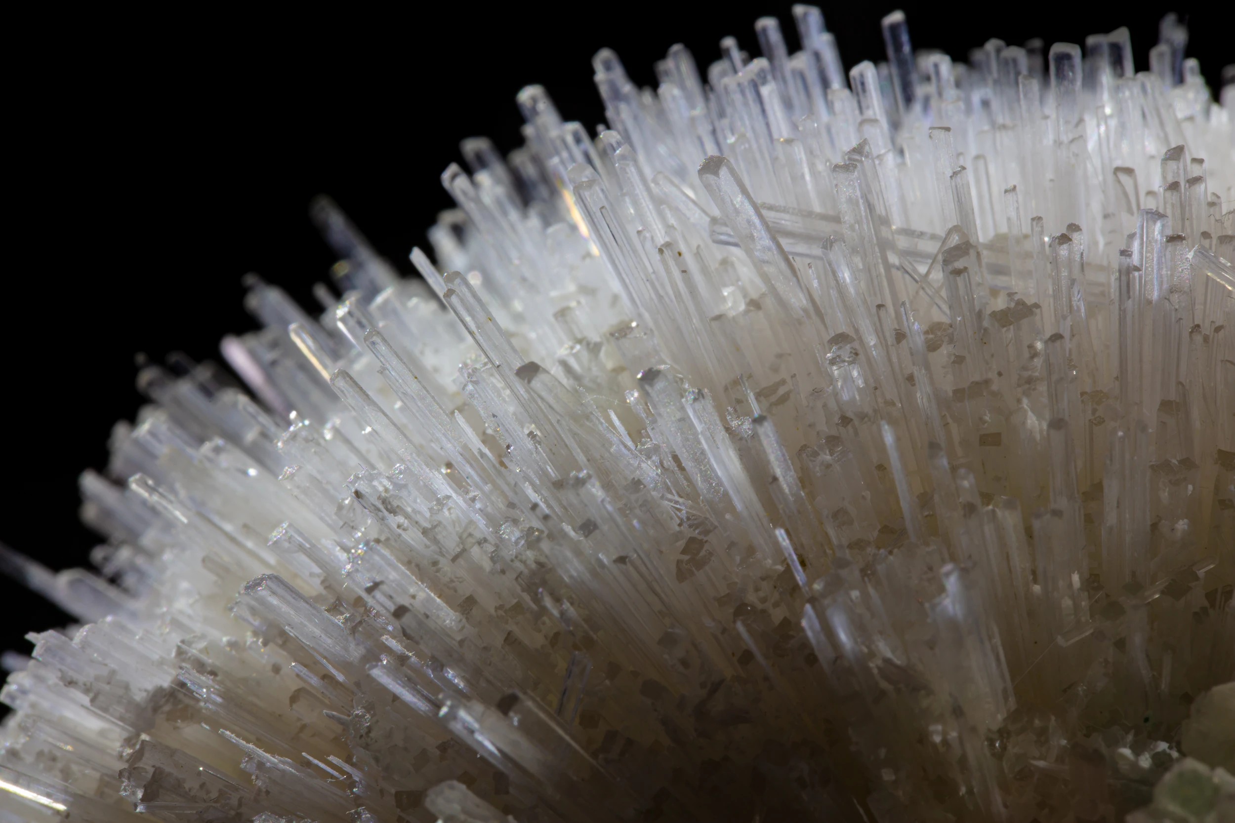 Mesolite needles growing on apophyllite crystal matrix, photographed on black vinyl for reflective effect – Pune District, India