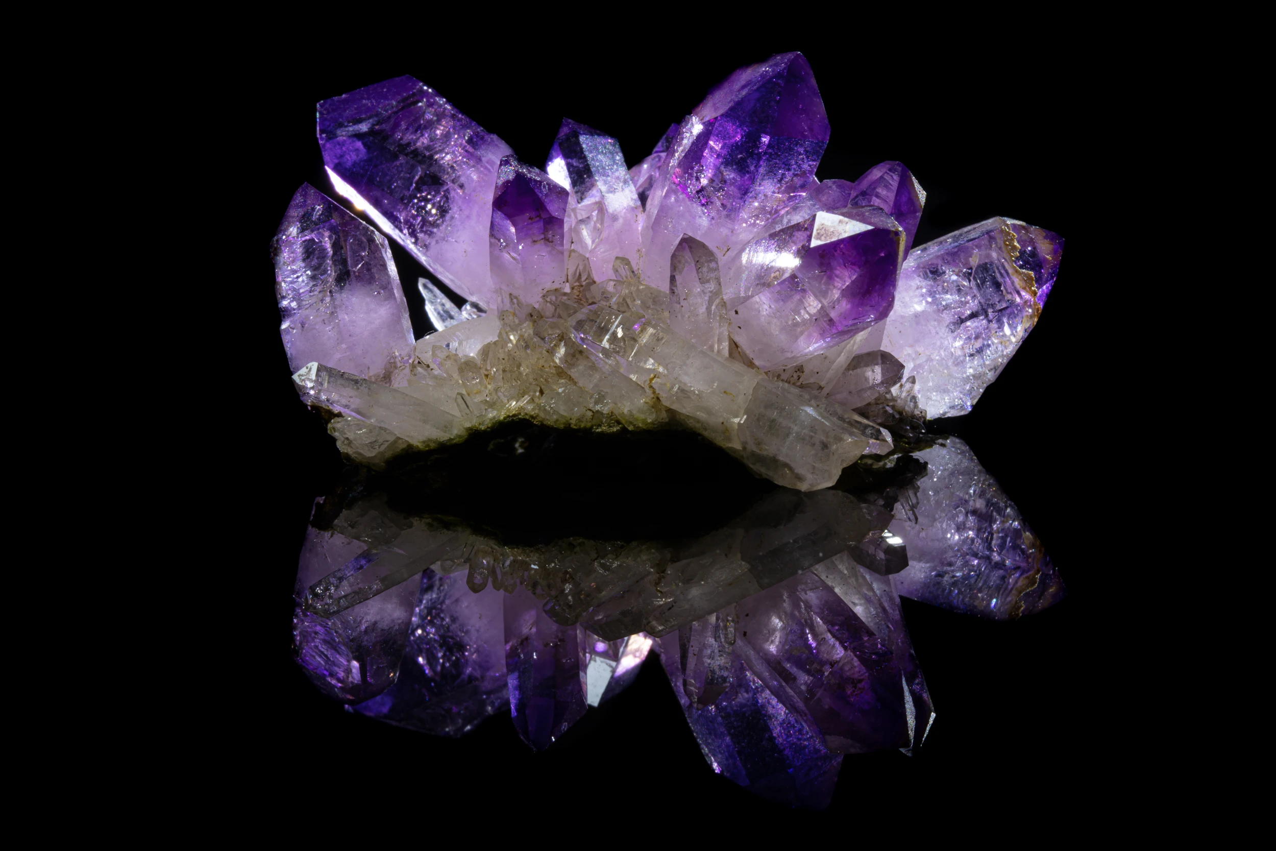 Quartz var. Amethyst from Las Vigas, Veracruz, Mexico – studio photo on black vinyl with reflection.