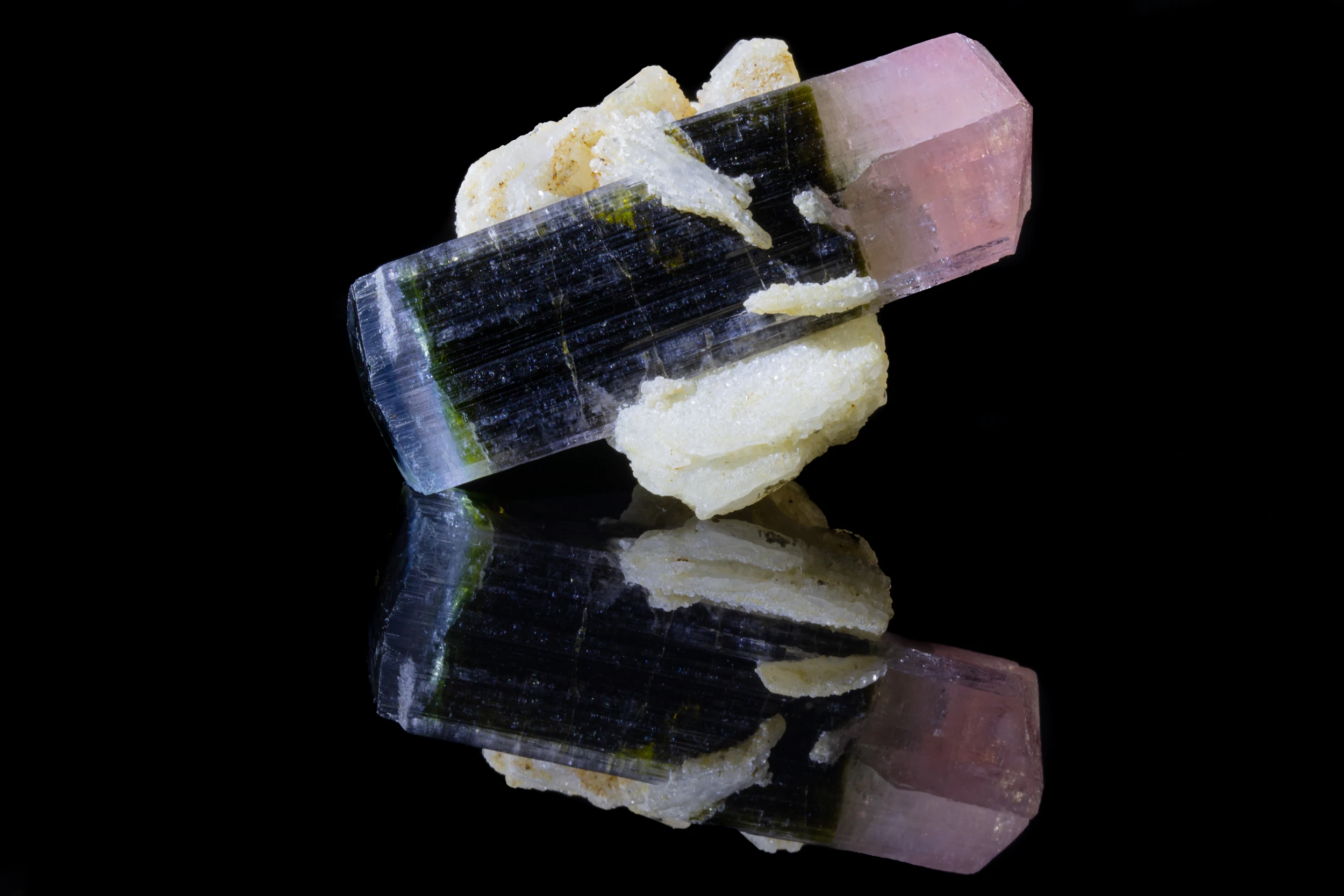 Bi-colored tourmaline crystal with cleavelandite on black reflective surface, from Stak Nala, Pakistan.