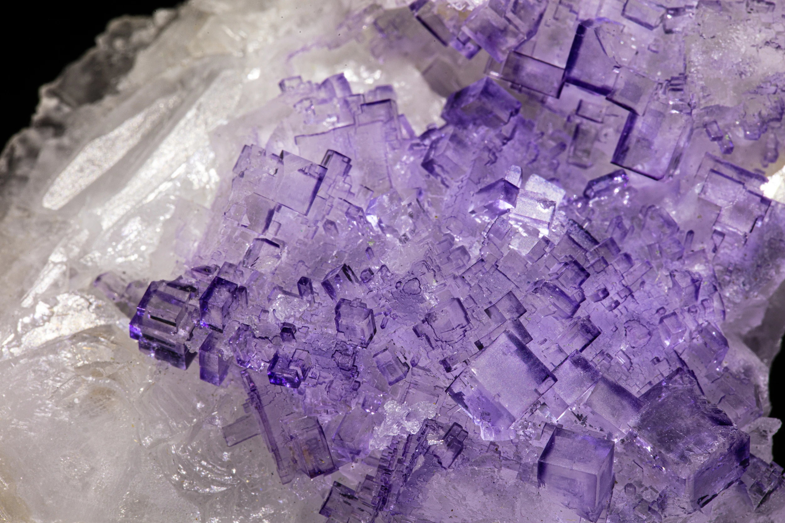 Close-up of vivid purple fluorite crystals on celestine matrix from Tule Mine, Melchor Muzquiz, Coahuila, Mexico.