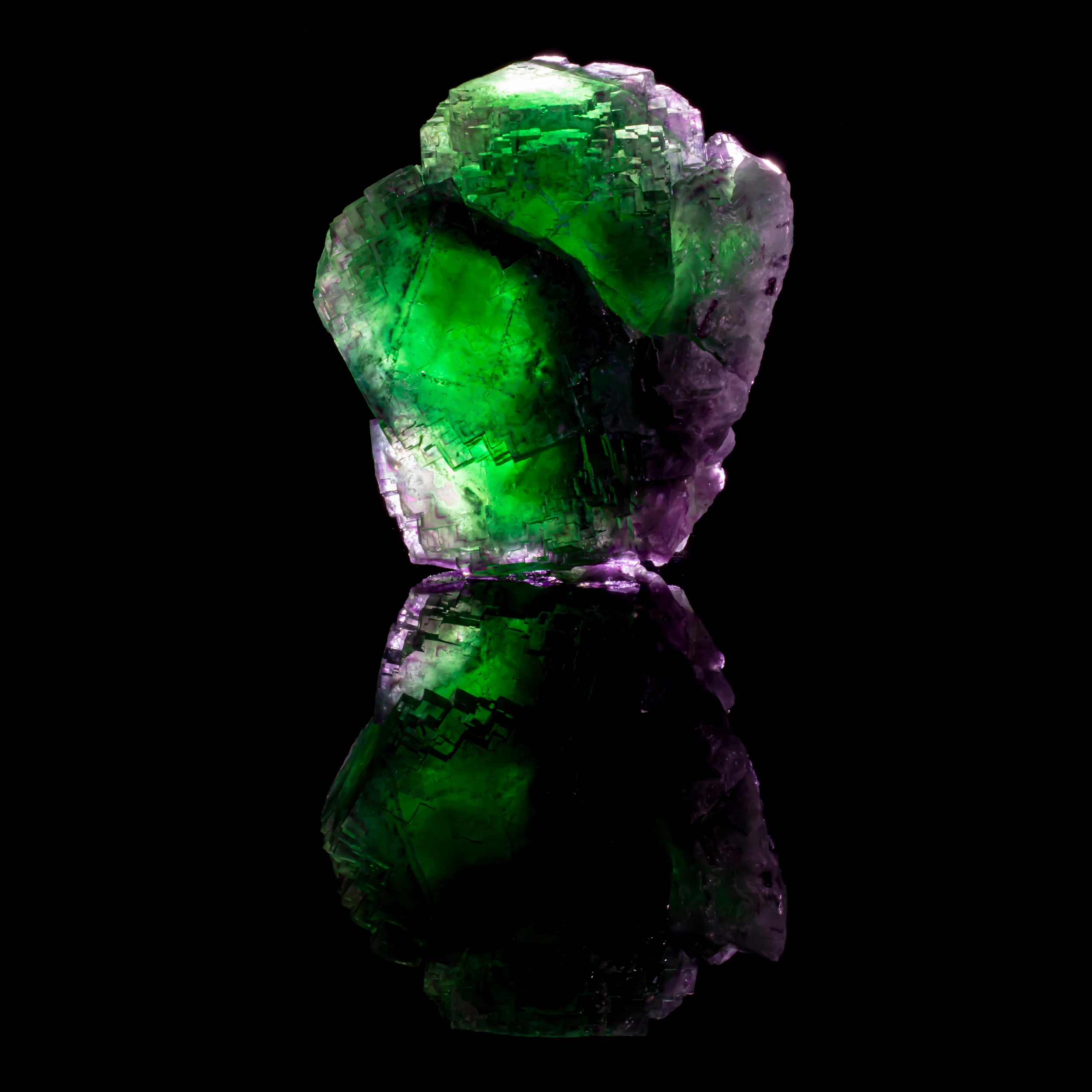 Color-zoned fluorite crystal from Namibia, showcasing green and purple zoning with mirrored reflection on black surface
