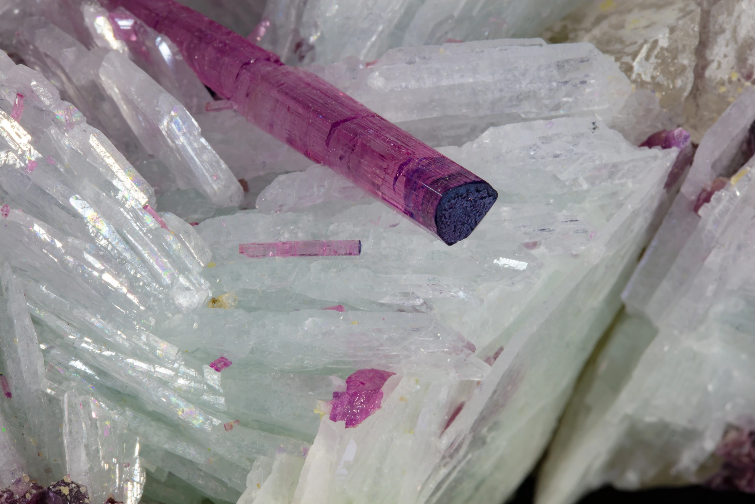 Close-up of Tourmaline and Cleavelandite from Gerais Mine, Brazil – fine crystal detail