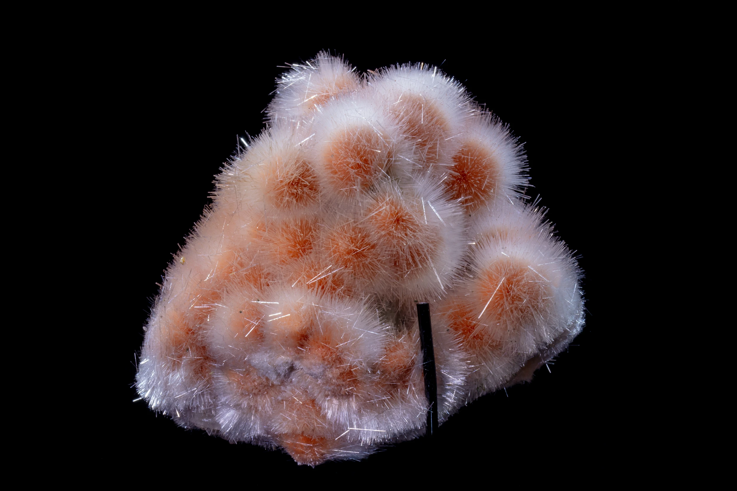 Mesolite on Thomsonite specimen from India – acicular crystal formations in radial clusters, mineral macro photography