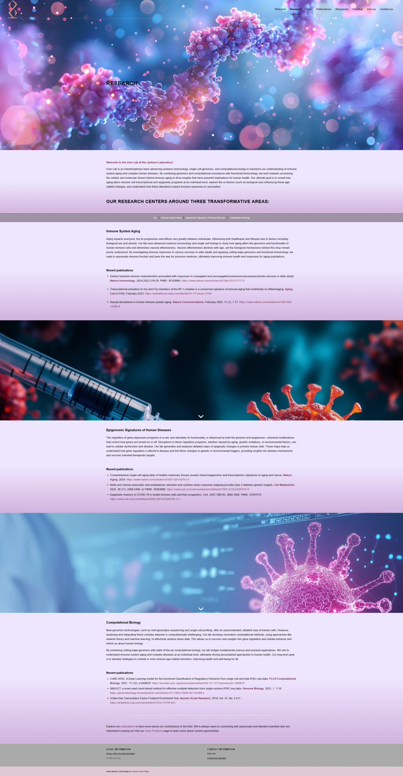 Research page of the Ucar Lab website, science web design by Camarda Visual Studio