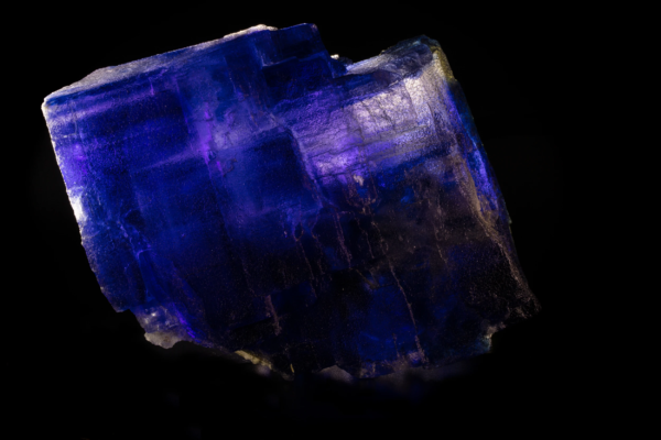 Deep blue halite crystal photographed against black, the color varying in patches through the cleaved cube, Germany