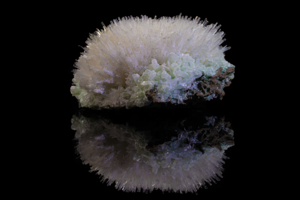 Radiating fan of fine white mesolite needles above pale green apophyllite crystals, mirrored on black vinyl, India