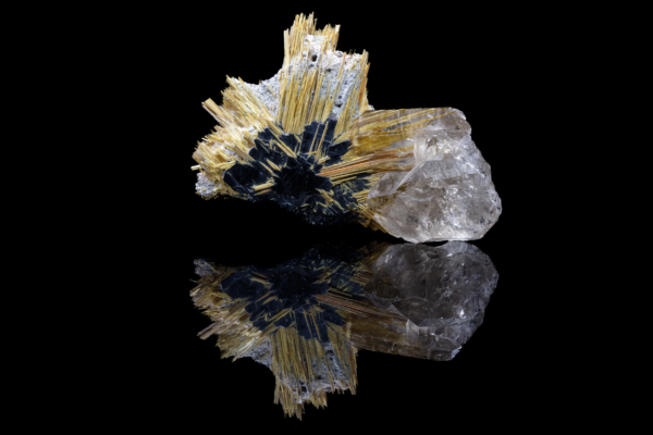 Golden rutile needles radiating in a star from a black hematite rosette, beside a clear quartz crystal, mirrored on black vinyl, Brazil