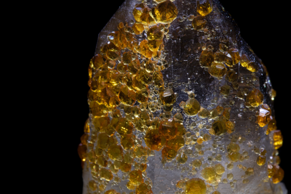Macro view of amber spessartine garnet crystals of varying sizes scattered over a translucent smoky quartz point, Tongbei, China